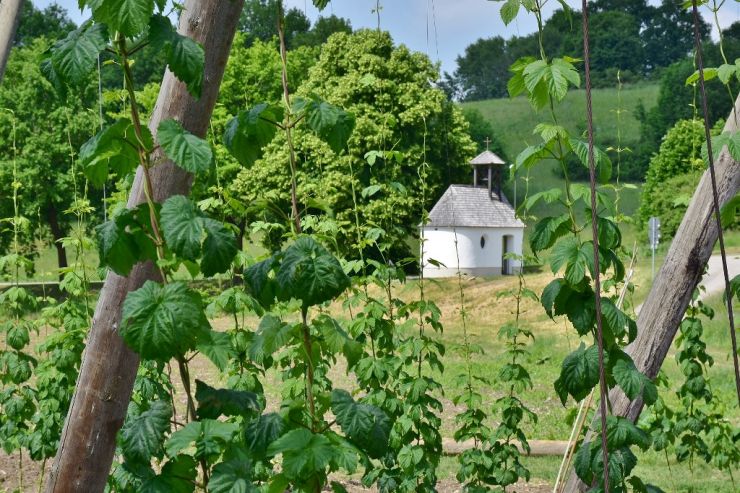У Trillium Brewing появится пивоварня на ферме