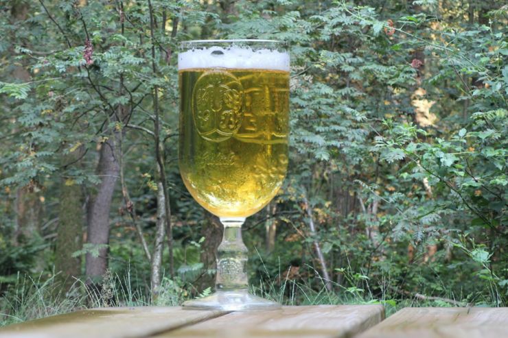Варим домашнее пиво для летнего сезона: гризетт и берлинер вайссе