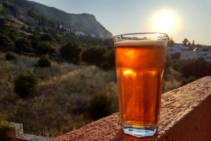 Варим домашнее пиво для летнего сезона: Session IPA и Гродзиское